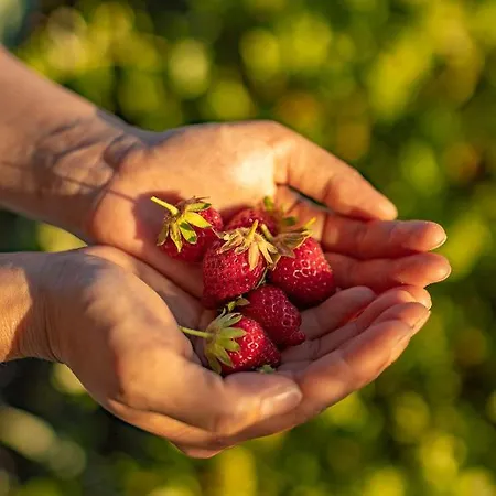 Cigarral Del Pintor Готель