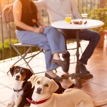 호텔 Cigarral Del Pintor 톨레도