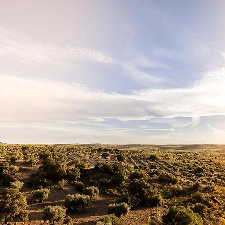 Cigarral Del Pintor *