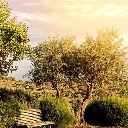 Hotel Cigarral Del Pintor *