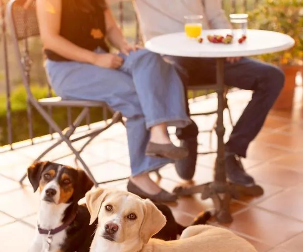 فندق Cigarral Del Pintor توليدو