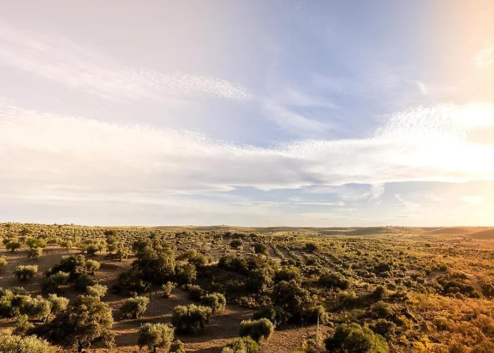 Cigarral Del Pintor *