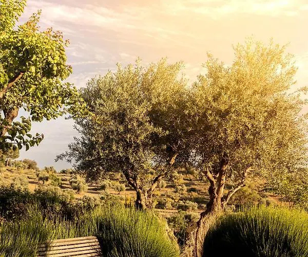 فندق Cigarral Del Pintor *